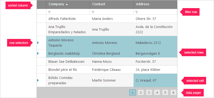 ASP.NET Data Grid rico en funciones