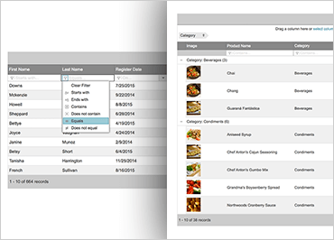 Ignite UI Data Grid Example