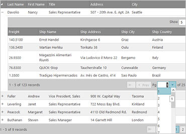 Ignite UI Hierarchical Grid