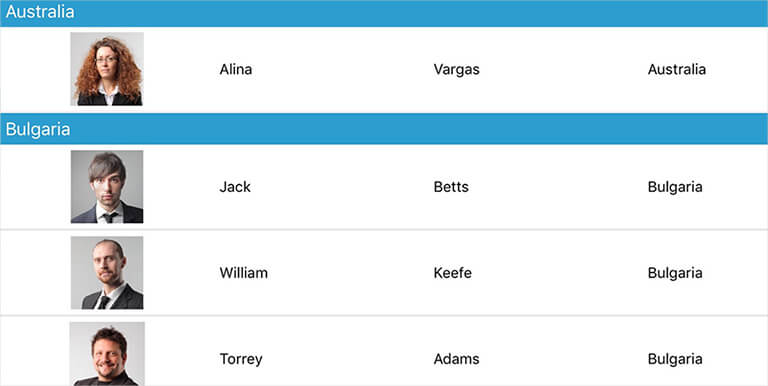 Ultimate UI for iOS components data grid