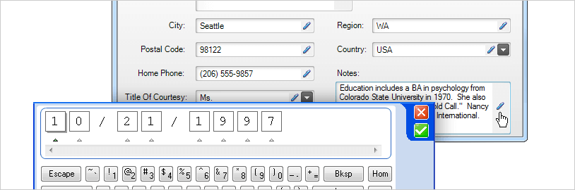 WinForms Ink Provider Input Panel