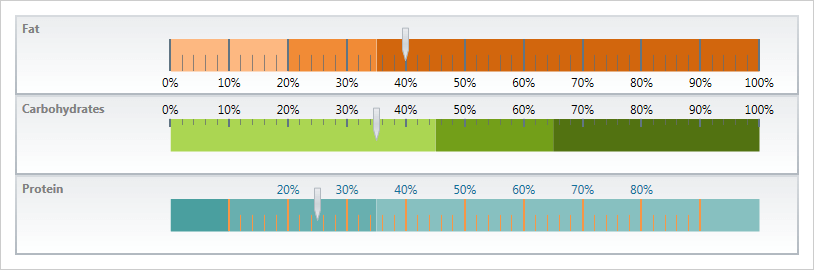 WinForms 구성 가능한 규모의 예