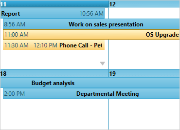 WinForms Schedule Printing Features