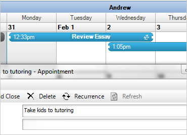 WinForms Schedule Calendar Functionality