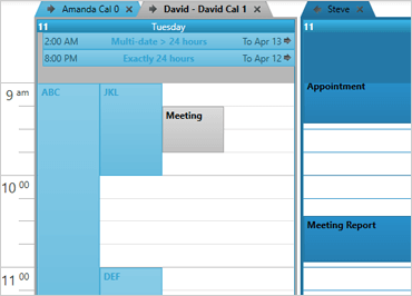 WinForms Schedule