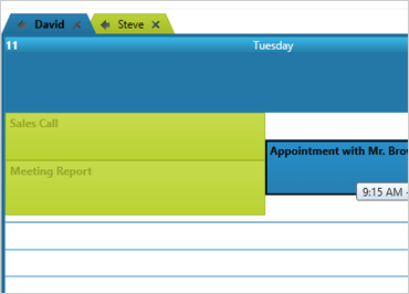 WinForms múltiples calendarios de recursos en una sola vista