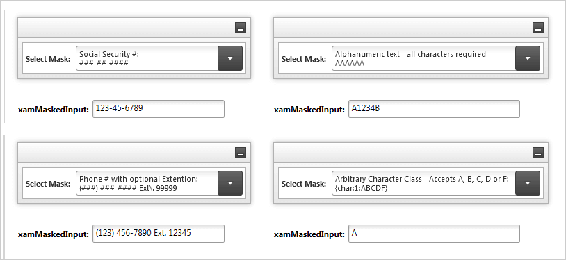 Masked Input