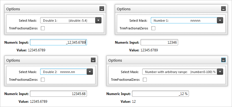 Numeric Input