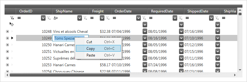 WPF データ グリッド Excel のような動作