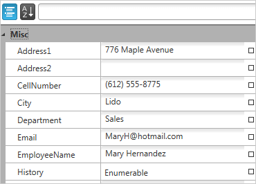 WPF Property Grid