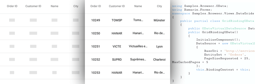 Xamarin Data Grid Data Source function