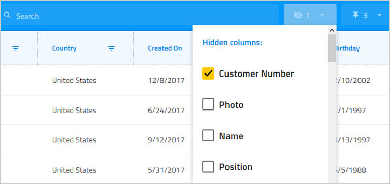 Column hiding in the Angular Data Grid.