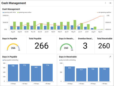 Embedded Finance Analytics Software – Reveal BI