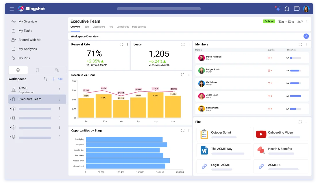 Executive Overview — company KPIs, main priorities, and recent updates at a glance