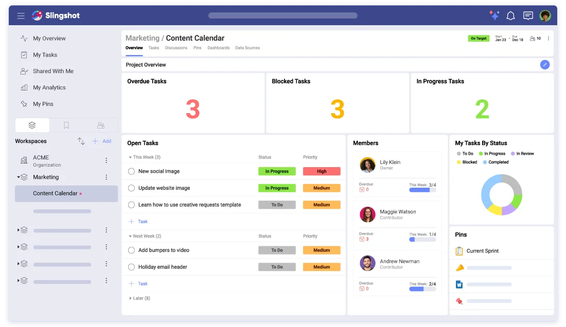 Project Overview — task progress, resource allocation, and budget tracking
